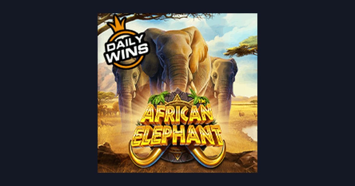 African Elephant dan Jam Gacor Terbaru untuk Slot Gacor Malam Ini